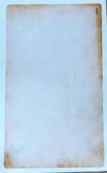 Etiketten, Tee, rustikal, 10 x 6 cm, ohne Druck (100 Stück)